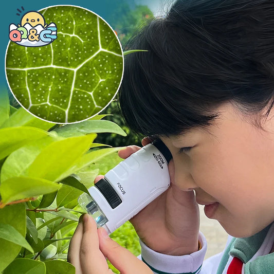 Biiosciência ciência experimento 120x crianças microscópio kit amostra biológica portátil quebra-cabeça brinquedos educativos para crianças
